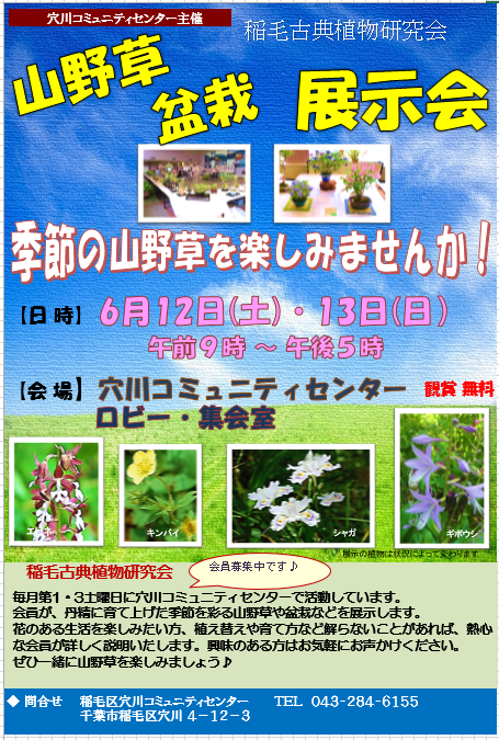 山野草展示会 6/12～6/13